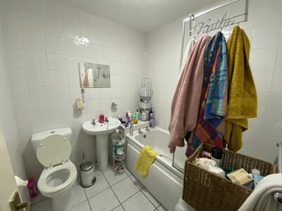 Picture 7